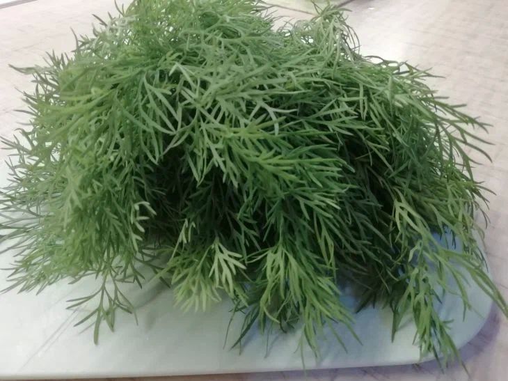 ��� ��������� �������� ������ �������: ��������� �� ���� ������