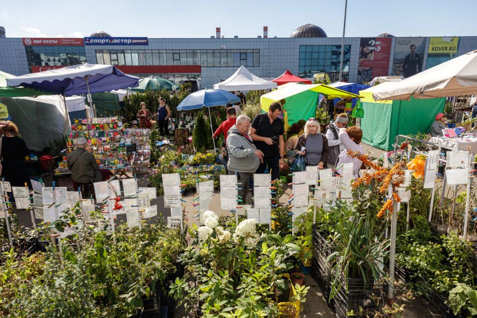 Выбор для дачников: осенняя выставка в
