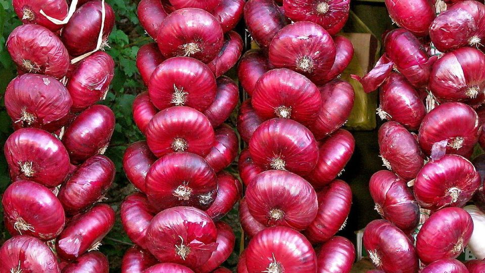 ���������� ���: ������ �������� �� ����� �����