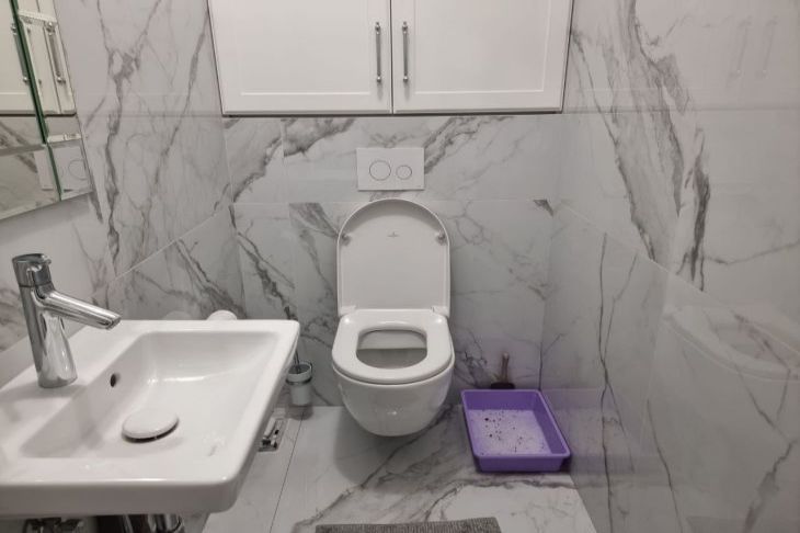 ������ ������� � �������: ��� ������ �������� �� 5 �����