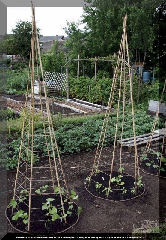 ��� ������������ ���� �� �������� ����� � ����: ������ �� ����� ���������� �������